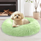 JOLLYVOGUE Calming Dog Bed Medium Size Dog, Anti-Anxiety Donut Medium Pet Bed by JOLLYVOGUE