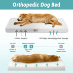 Dog Crate Bed for Small Size Dogs, Rectangular Orthopedic Cat Beds, Foam - Image 2