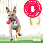 KONG - Puppy Toy - Natural Teething Rubber - Fun to Chew, Chase and Fetch - Image 9