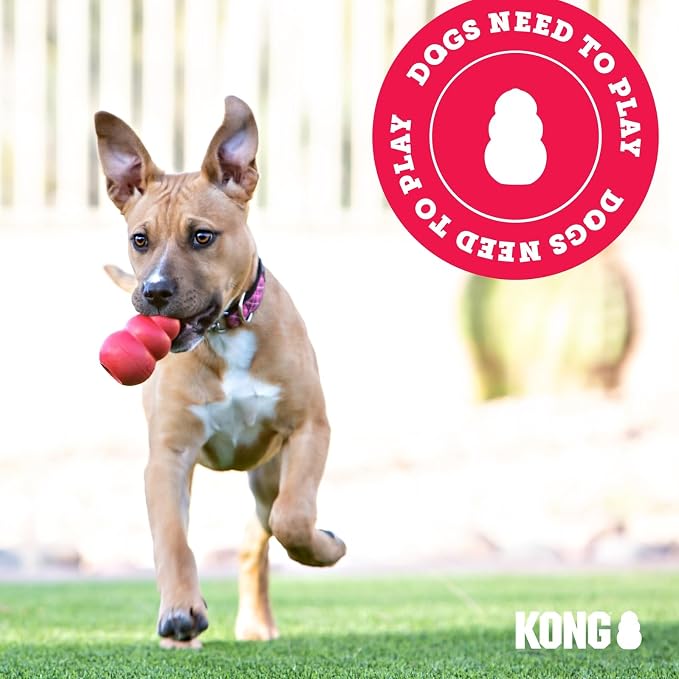 KONG - Puppy Toy - Natural Teething Rubber - Fun to Chew, Chase and Fetch - Image 9