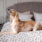 Dog Blankets for Medium Large Dogs Washable, 3 Pack Pet Blanket Washable 41" x - Image 6
