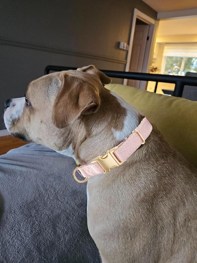 Soft Cotton Hemp Dog Collar - Image 5