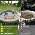 NNG 3 Pack Bird Bath Copper Disk, 1mm Thick Reinforced 99.9% Pure Copper Bird - Image 2