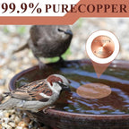 8 Pcs Bird Bath Copper Disk, 0.6mm Thick Reinforced 99.99% Pure Copper Birdbath - Image 5