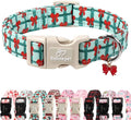 Christmas Dog Collar for Large Dogs by Babolepet