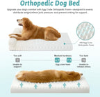 Cute Dog Bed, Faux Rabbit Fur Orthopedic Foam Dog Bed - Image 5