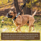 Hikiko Reflective Martingale Collar - Image 5