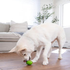 Outward Hound Nooks Peace Interactive Durable Treat-Dispensing Dog Toy - Image 8