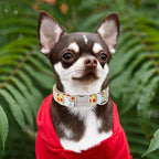 Unique style paws Dog Collar Metal Buckle Collar Gift - Image 4