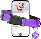 Reflective Dog Collar for Extra Small Dogs by Pawduct