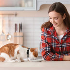 Baeuppit 2PCS Breakaway Cat Collars - Image 6