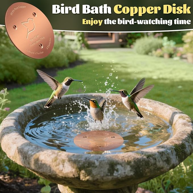 NNG 2 Pack Bird Bath Copper Disk, 1mm Thick Reinforced 99.9% Pure Copper Bird - Image 6