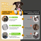 CZPET Elevated Dog Water Bowl Dispenser 8L - Image 2