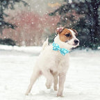 Dog Collar-Bow Dog Collar Blue Bear Pattern Pet Collar Dog Cute Bow Tie Soft - Image 5