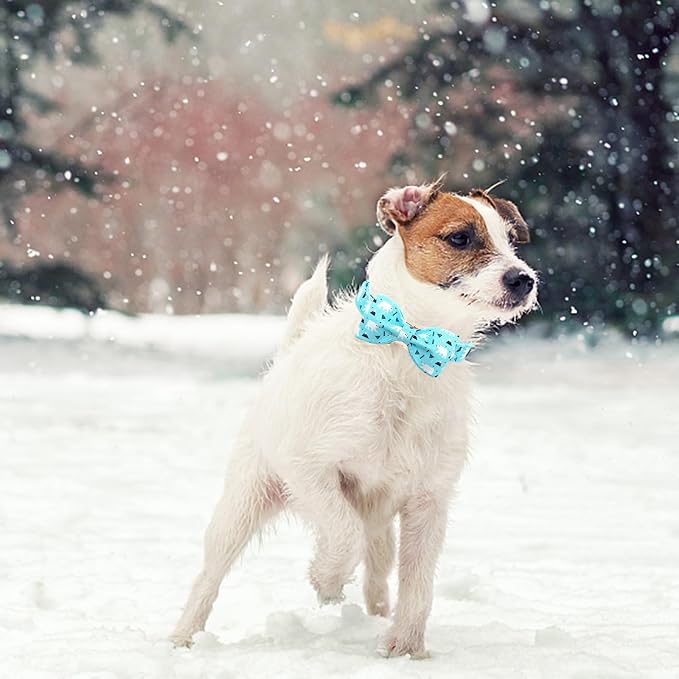 Dog Collar, Bow Dog Collar Blue Bear Pattern Pet Collar Dog Cute Bow Tie Soft - Image 5