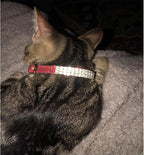 CHUKCHI Soft Velvet Safe Cat Adjustable Collar Bling Diamante - Image 6