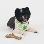 SPOT Bam-Bones Wishbone - Image 12