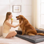 Dog Bed Large Sized Dogs, Orthopedic Dog Bed - Image 7