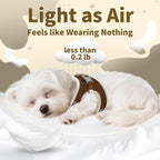 AIITLE Easy Walk Dog Harness and Leash Set - Image 7