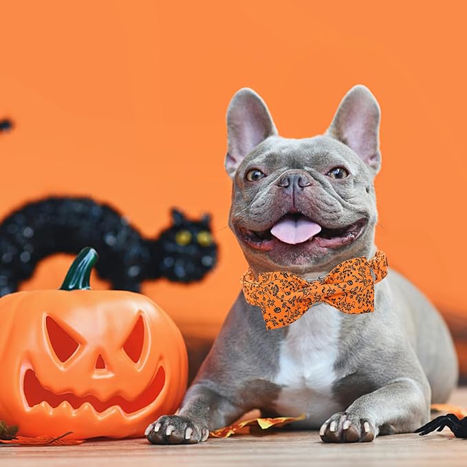 Halloween Dog Collar, Pet Collar Bow Pumpkin Collars Girl Boy Holiday Pet - Image 5