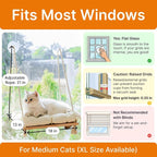 Cat Window Perch with Industrial-Grade Suction Cups - Image 5