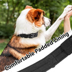 Tactical Dog Collar with Handle, Military Adjustable Heavy Duty Metal Buckle - Image 5