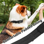 Tactical Dog Collar Military Adjustable Dog Collars Soft Nylon Training Collar - Image 6