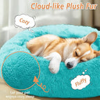 JOLLYVOGUE Calming Dog Bed for Small Dogs - Image 2