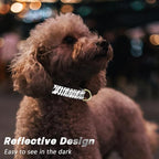 Reflective Dog Collar for Extra Small Dogs Cats, Cute Boho Adjustable - Image 3