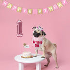 Birthday Girl Dog Bandanas 1 Pack, HBD Pet Scarves - Image 5
