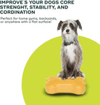 Mini K9fitbone Balance Training Platform - Image 6