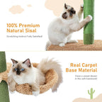 PAWZ Road Cat Tree, Cactus Floor to Ceiling Cat Tower - Image 4