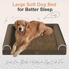 Small Dog Bed Orthopedic Washable: Beds Bolster Small Sized Dogs Cats Bed Egg - Image 2