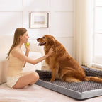 Dog Beds Large Sized Dogs, XL Orthopedic Dog Beds - Image 8