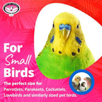 Super Bird Creations SB872 Mini Xmas Tree Bird Toy, Small/Medium Bird Size - Image 3