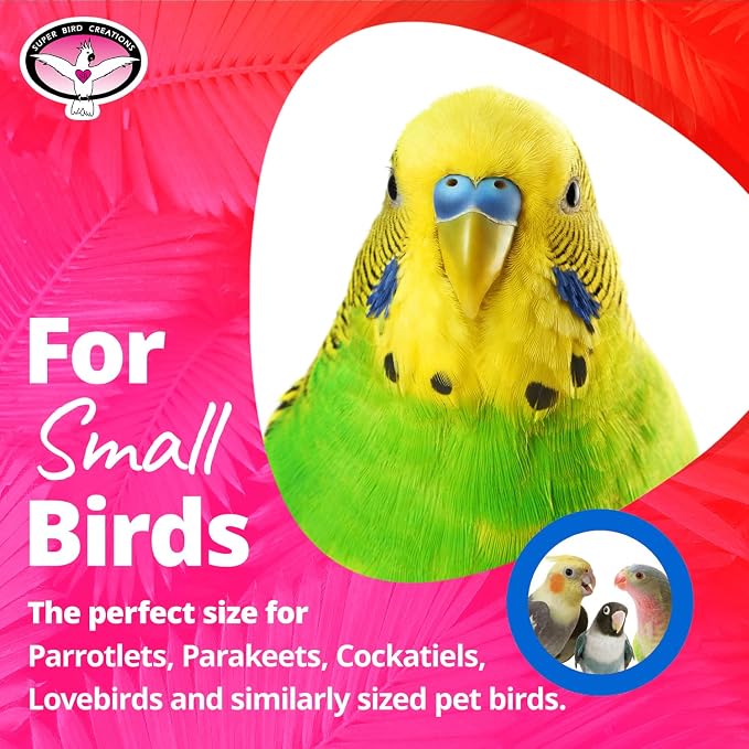 Super Bird Creations SB971 Xmas Crinkle Little Star Bird Toy, Small Bird Size - Image 3