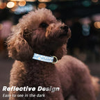 Reflective Dog Collar for Large Dogs, Cute Daisy Theme Adjustable Heavy-Duty - Image 3