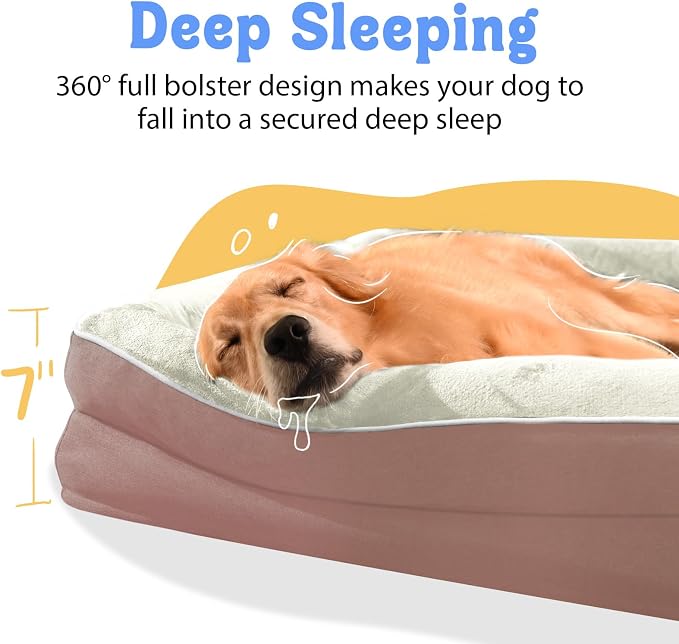 Orthopedic Foam Large Dog Bed XLarge Dog Beds - Image 3