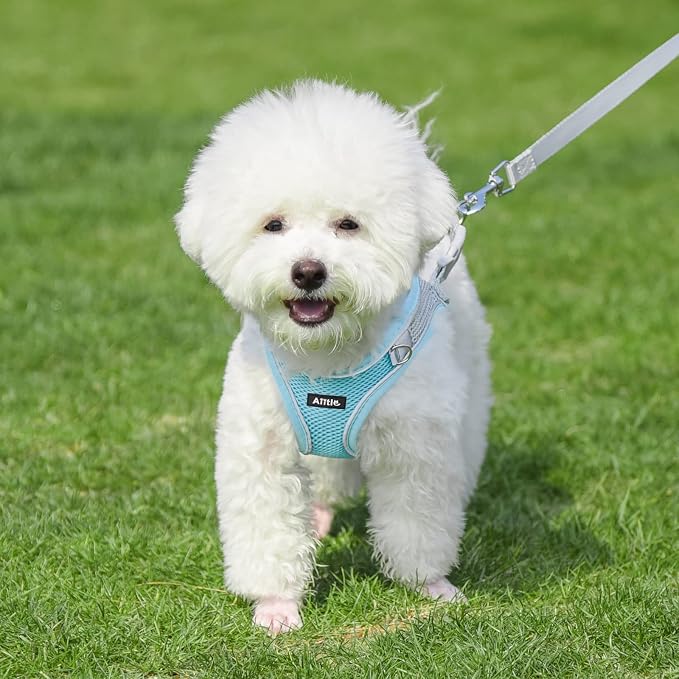 AIITLE Dog Harness, No-Pull Cat Harness - Image 7