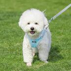 AIITLE Easy Walk Dog Harness and Leash Set - Image 2