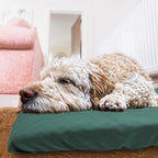 Dog Bed Cover Waterproof Replacement Machine Washable Covers - Image 6