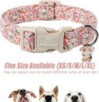 Easter Dog Collar for Large Dogs - Image 6
