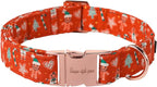 Unique style paws Dog Collar Metal Buckle Collar by Uniquestylepaws