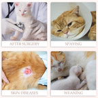 ANWA Cat Recovery Suit, Breathable Cat Onesie After Surgery, Kitten Surgery - Image 6