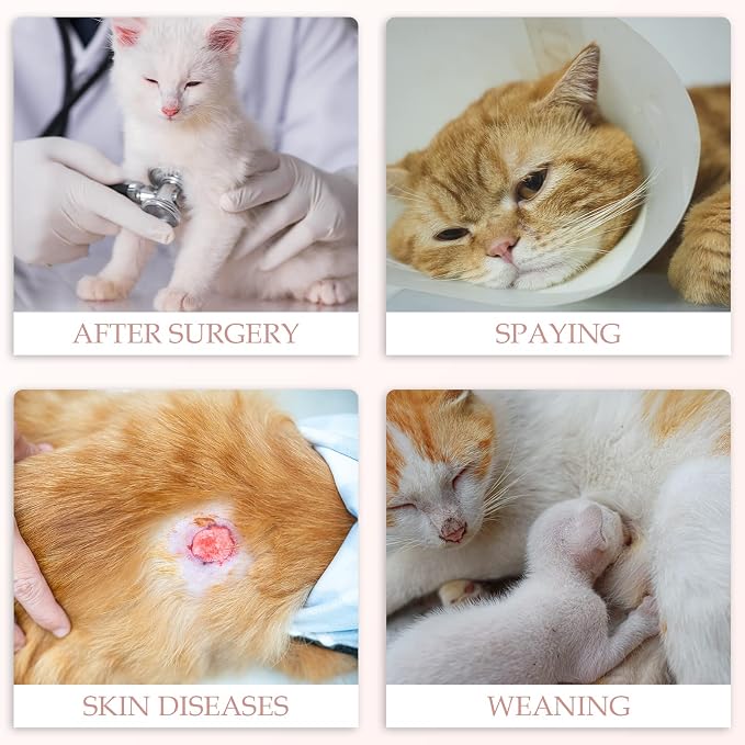 ANWA Cat Recovery Suit, Breathable Cat Onesie After Surgery, Kitten Surgery - Image 6