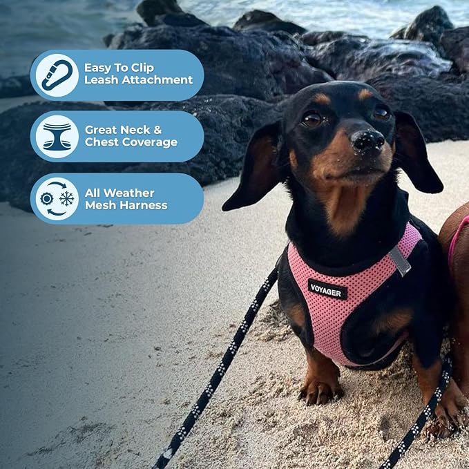 Best Pet Supplies - Image 2