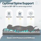 Orthopedic Dog Bed for Large Sized Dogs - Image 4