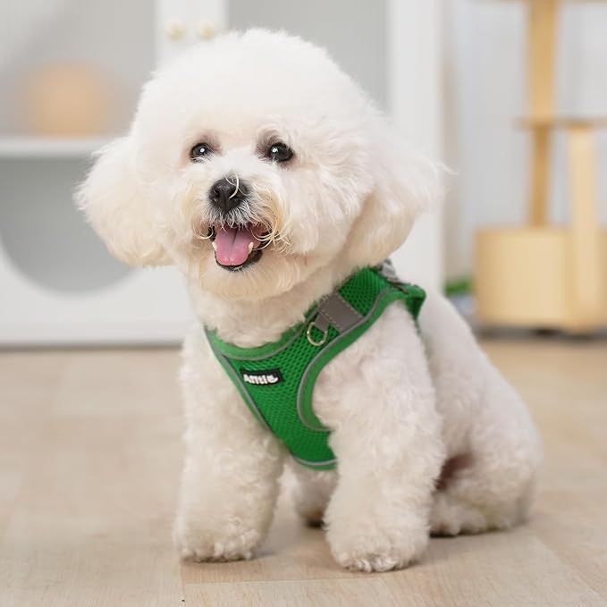 AIITLE Small Harness for Puppy - Image 9