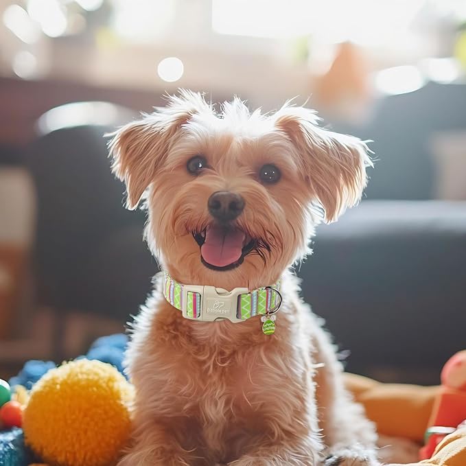 Easter Dog Collar for Small Dogs - Image 2