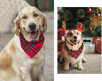 Christmas Plaid Dog Bandana - Image 8